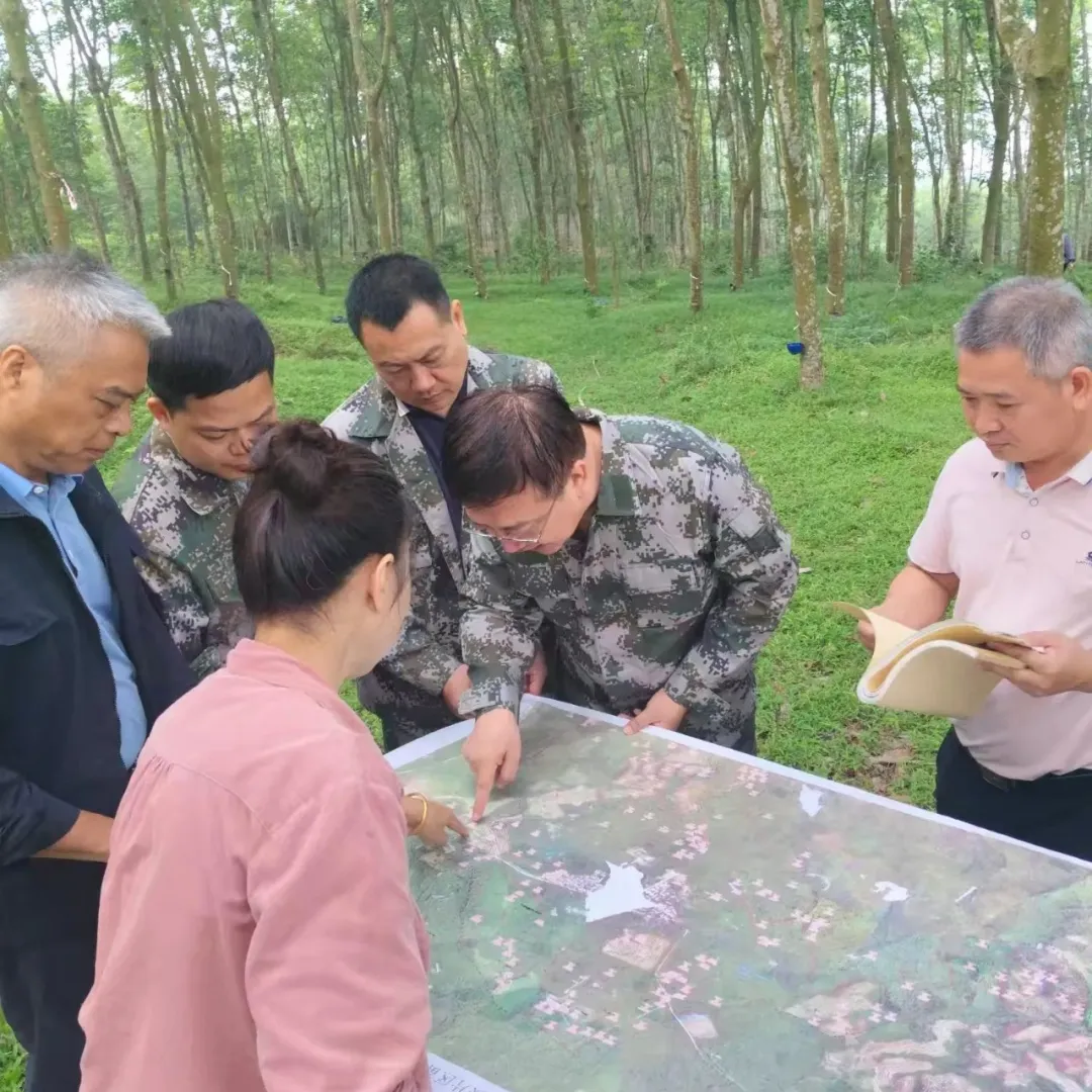 1748910104318045616.jpg 1748910104318045616.jpg